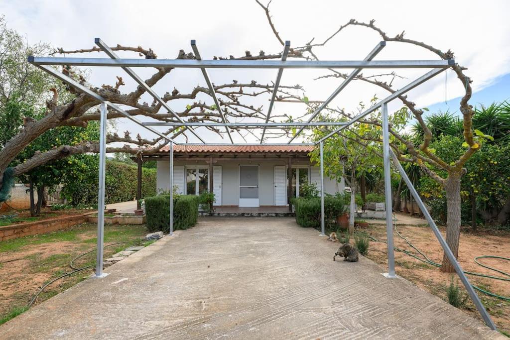 Farmbill Villa Markópoulon Exterior foto